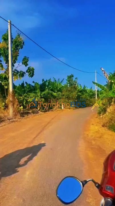 Đất Nền 2000m² Châu Đức Mặt Tiền Đường Nhựa Giá 990 Triệu