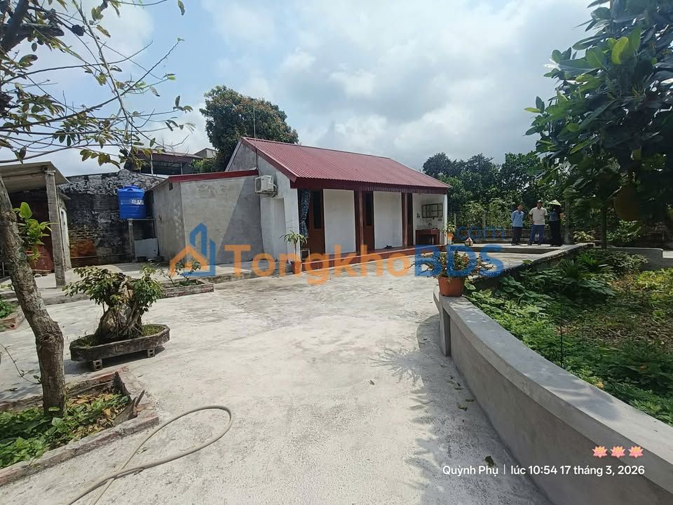 Bán Đất Vườn Quỳnh Hoa, Quỳnh Phụ - 280m², Sẵn Nhà Vườn, Giá 5 Tỷ