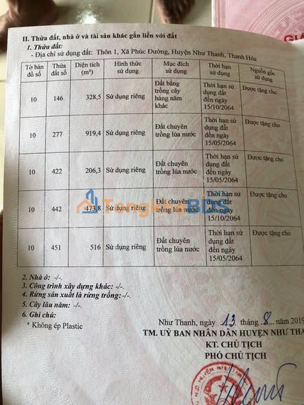 Đất nền Phượng Nghi, Như Thanh 10.000m² - Tiềm năng tăng giá