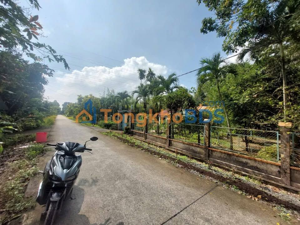 Đất Nhuận Đức Củ Chi 4164m² 19 tỷ - Tiềm năng tăng giá