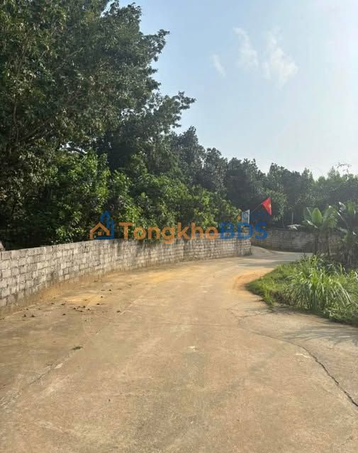 Đất nền Cẩm Lĩnh Ba Vì 350m² 1 tỷ - Tiềm năng tăng giá