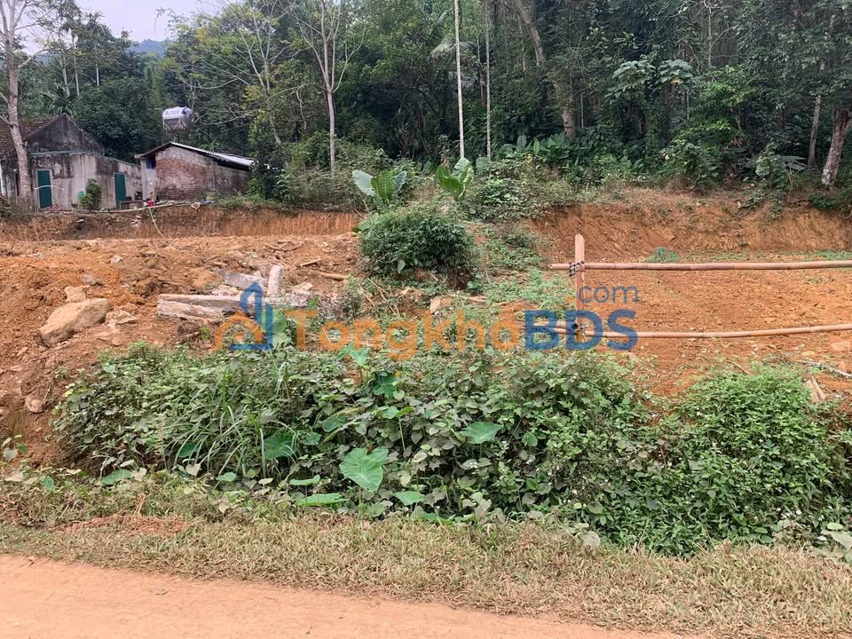 Đất nền Thạch Tượng Thạch Thành 3630m² 990 triệu - Thổ cư 1.700m²