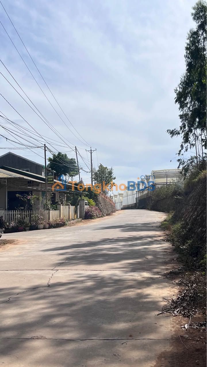 Đất nền Thạnh Mỹ Đơn Dương 310m² 550 triệu - Sổ hồng sẵn