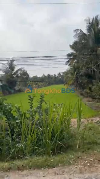 Đất Vũng Liêm Huyện 22 4.721m² 2.55 tỷ - Đường to ô tô