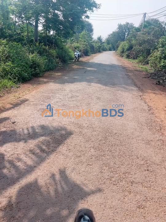 Farm Khánh Xuân Dak Lak 3.240m² 10,35 tỷ - Sinh thái xanh