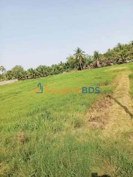 Đất Vĩnh Long Thế Hanh 1.000m² giá 6.5 tỷ - Xây dựng tự do