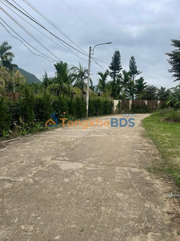 Đất nền Hòa Ninh 1.000m² 1 tỷ - Đầu tư dài hạn