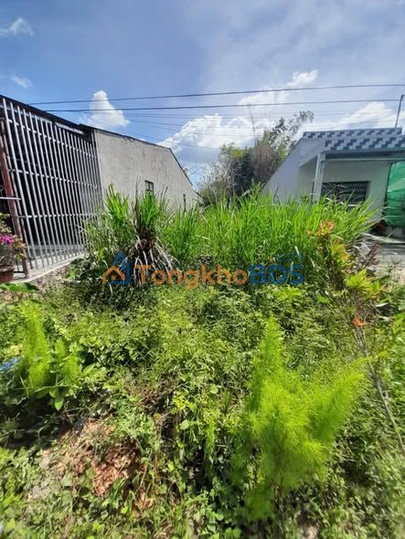 Đất mặt tiền HL2 An Trường, Càng Long 210m² - Tiềm năng tăng giá