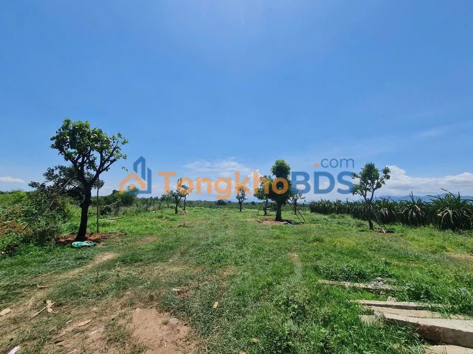 Đất nền Hàm Mỹ 800m² 1.5 tỷ - Đường ôtô vào thẳng