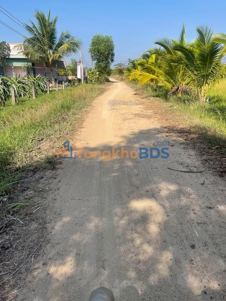 Đất nền Hàm Chính 828m² 550 triệu - Sổ riêng chính chủ