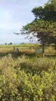 Đất vườn Hồng Sơn Hàm Thuận Bắc 14.000m² 1.4 tỷ - Sinh thái xanh