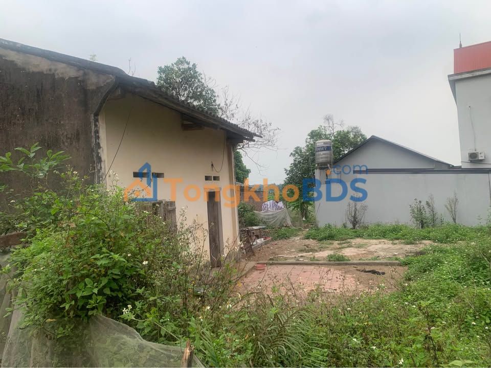 Đất nền Trung Giã Sóc Sơn 200m² 1 tỷ - Giá tốt hiếm có