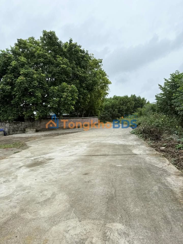 Đất nền Đội Cấn Tuyên Quang 200m² giá 1.1 tỷ - Sổ đỏ chính chủ