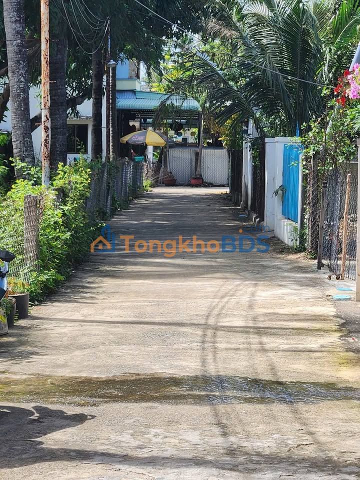 Đất Thổ Cư 98.8m² Sông Cầu - Lõi Trung Tâm, Giá Đầu Tư 1.28 Tỷ