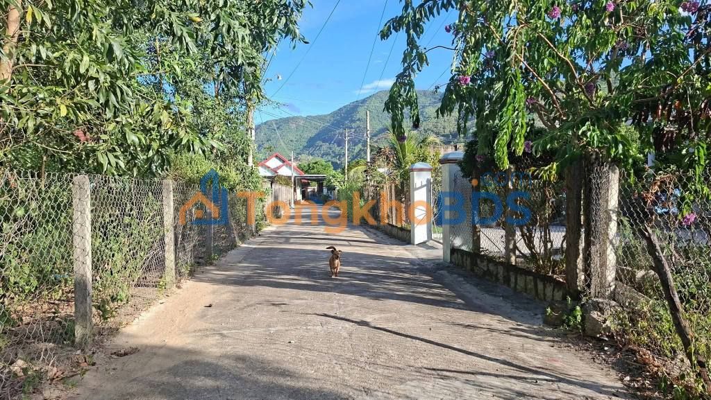 Đất vườn Diên Tân 276m² giá 800 triệu - Đường to ô tô