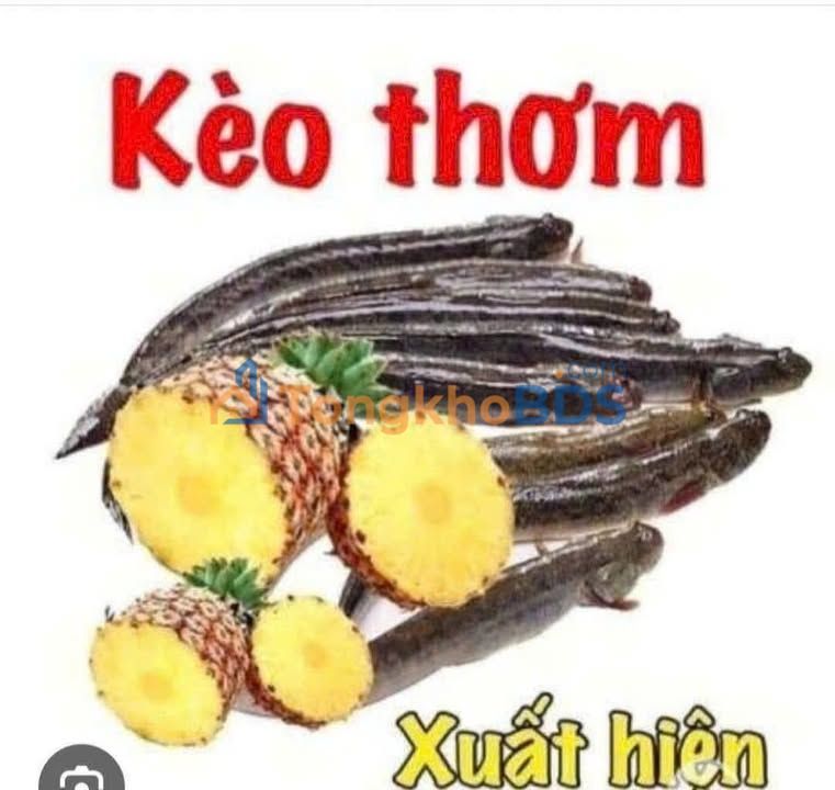 Nhà riêng Bình Chuẩn 340m² giá 8 tỷ - Chính chủ bán