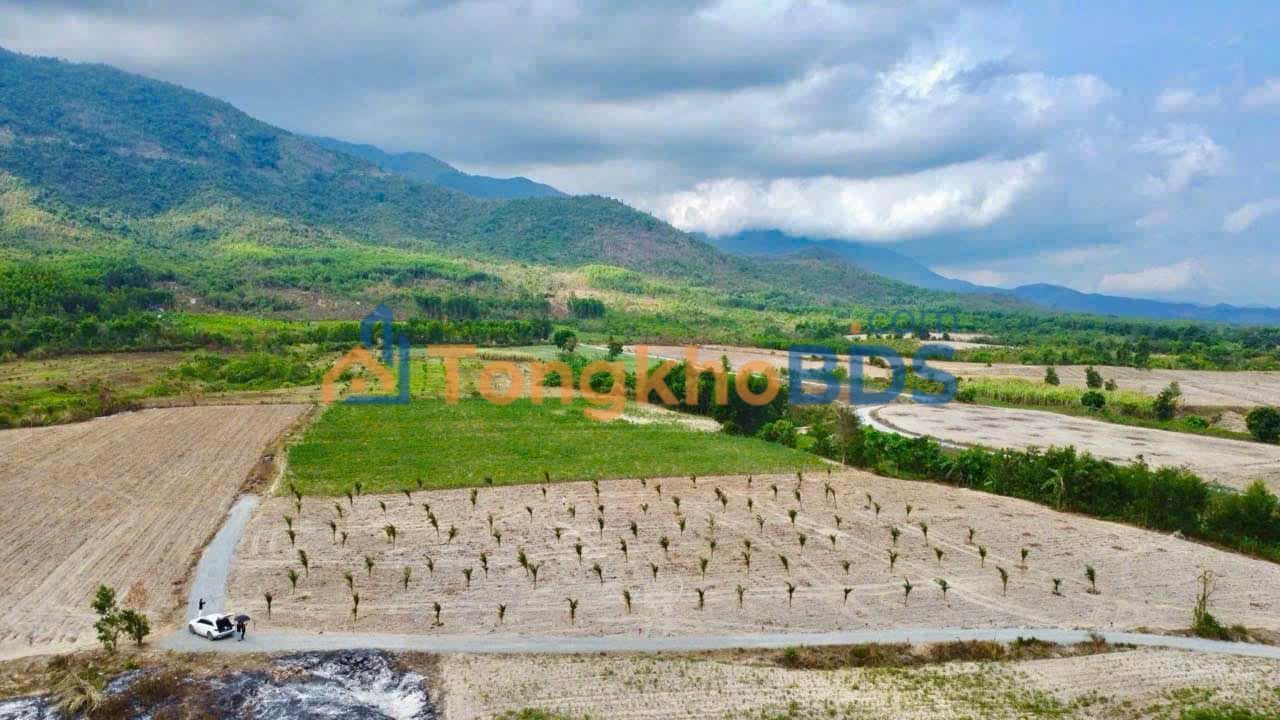 Đất Ninh Tây Ninh Hòa 1000m² 550 triệu - Sổ đỏ chính chủ