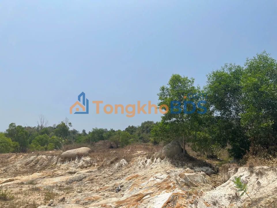 Farm Cam Phúc Bắc 6.8ha giá 6.8 tỷ - Tiềm năng tăng giá