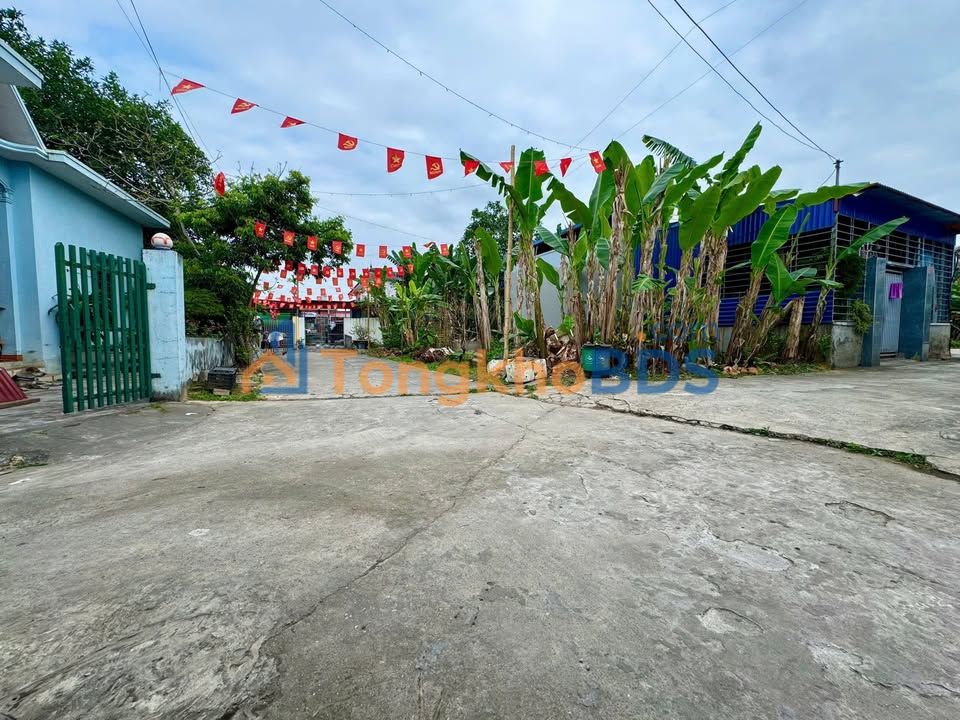 Đất Kiến Hưng Kiến Thụy 114m² 2 tỷ - Sổ đỏ chính chủ