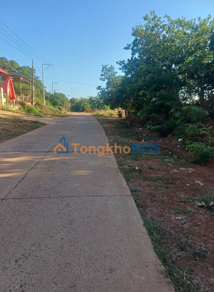 Đất vườn QL14 Bình Thạnh 3.240m² 2.4 tỷ - Nghỉ dưỡng lý tưởng