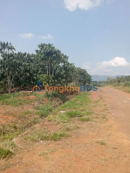 Đất nền Lộc Lâm Bảo Lâm 2880m2 giá 3 tỷ - Sổ đỏ chính chủ