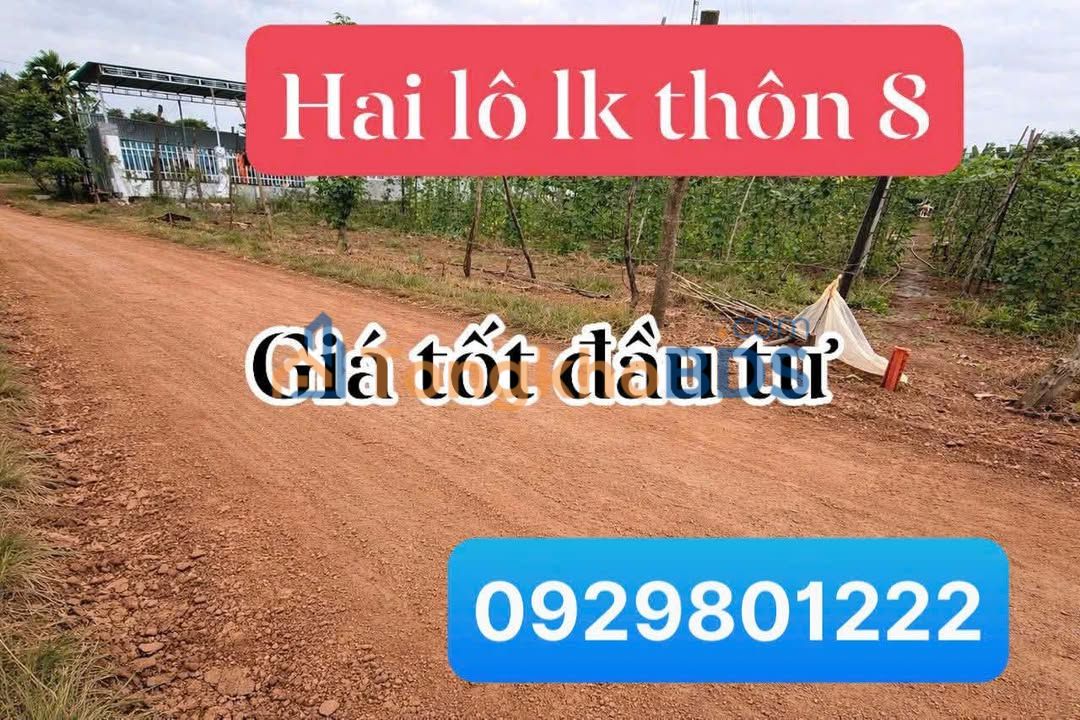 Đất nền Thôn 8 Cưêbur Bình Thọ 221m² 790 triệu - Sổ đỏ chính chủ