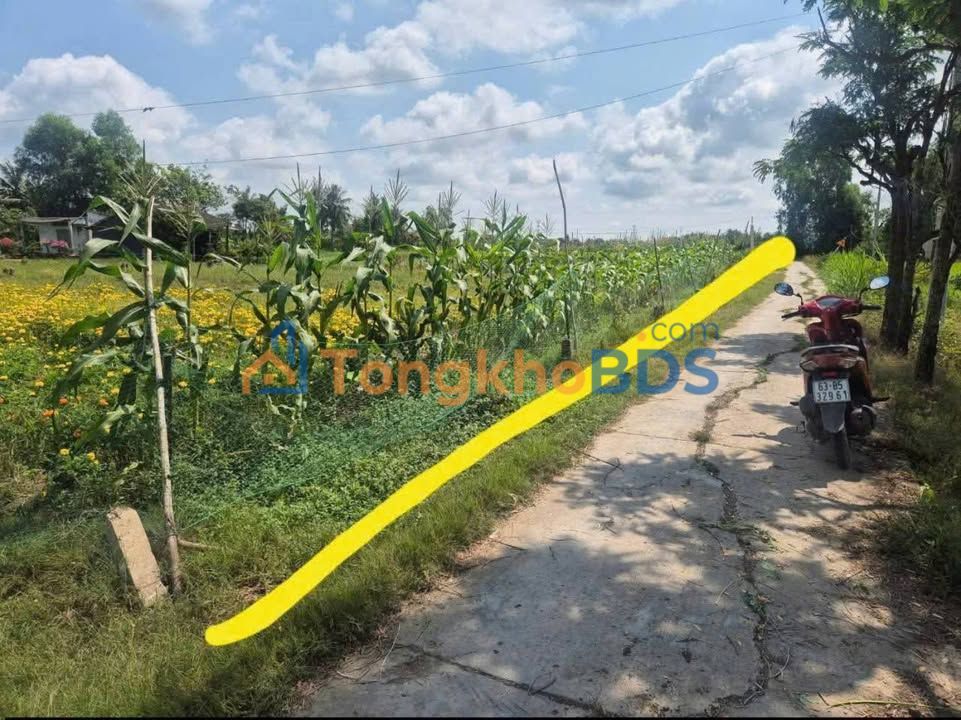 Đất nền Bình Phú Gò Công Tây 160m² 265 triệu - Sổ đỏ chính chủ