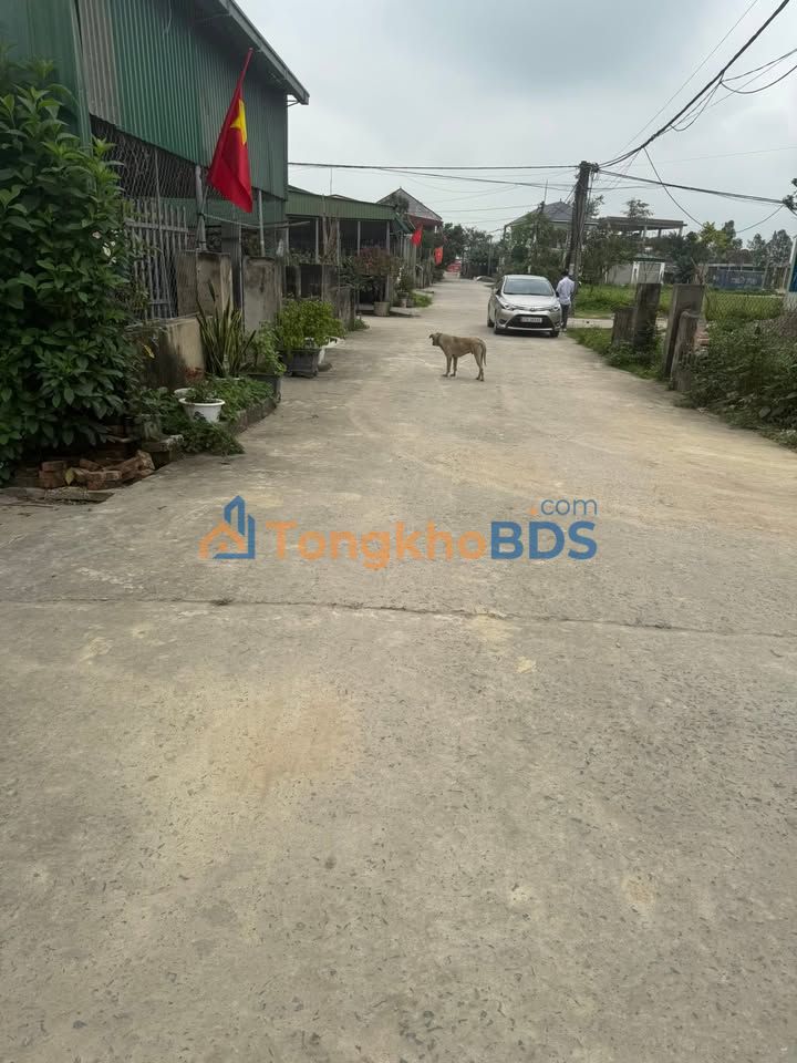 Đất nền Khối 1 Hưng Nguyên 113m² 2 tỷ - Đường to ô tô