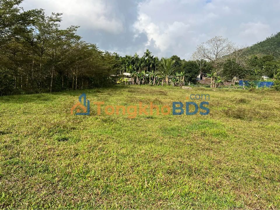 Đất lúa Hòa Minh 580m² giá mềm Liên Chiểu - Đầu tư dài hạn