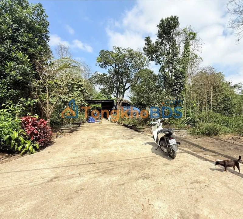 Đất nền Huế Kiệt 9 Nam Giao 100m² 1,4 tỷ - Sổ đỏ chính chủ