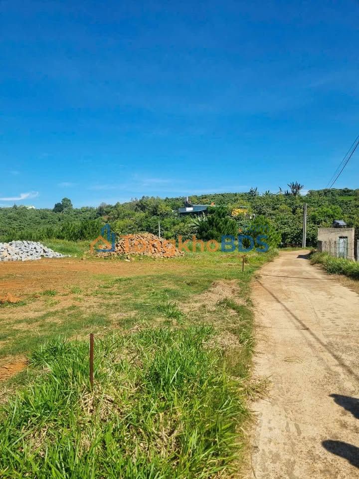 Đất nền Bảo Lộc 334m² giá 1.39 tỷ - Hạ tầng hoàn thiện