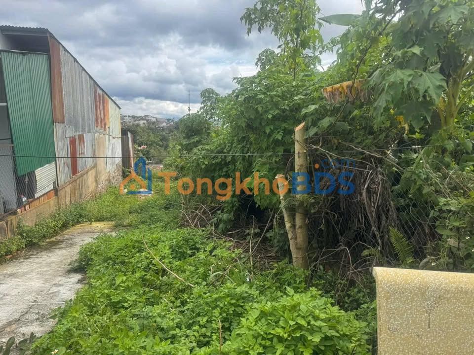 Đất Đambri Bảo Lộc 165m² 1.7 tỷ - Sổ đỏ chính chủ