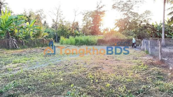 Bán Đất Gò Công Tây 3064m² - Sẵn Sàng Xây Dựng, Giá 2.55 Tỷ