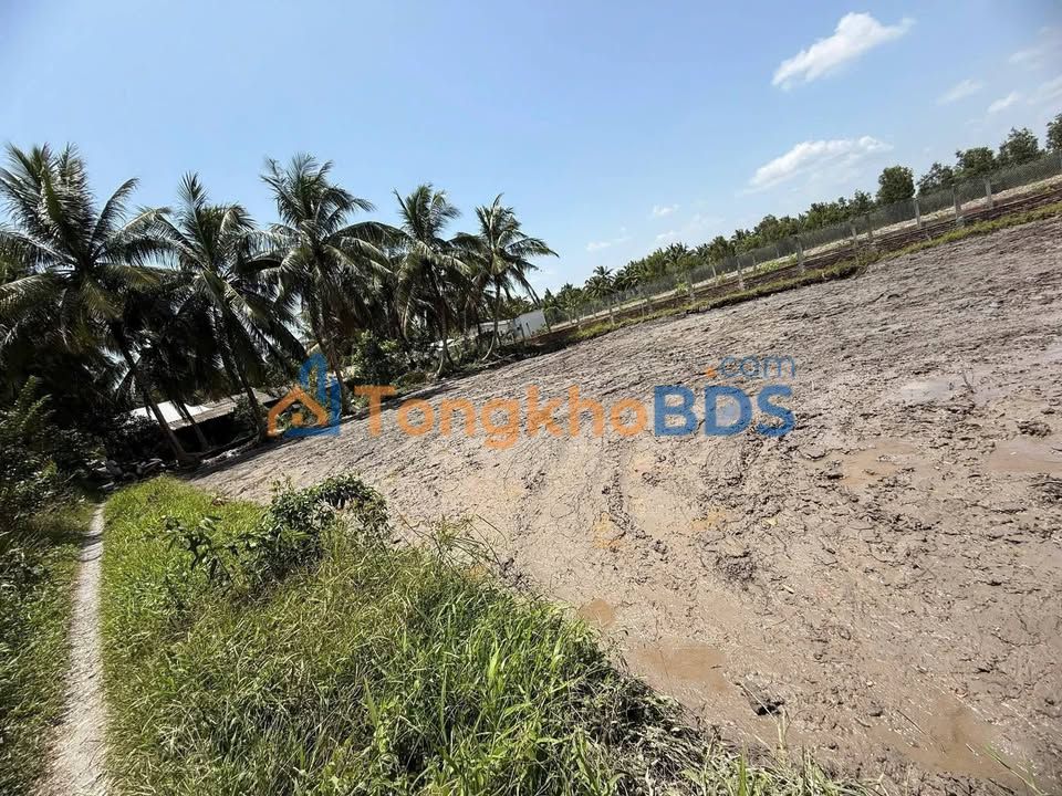 Đất nền Hiếu Thành Vũng Liêm 702m² giá 250 triệu - Sổ đỏ chính chủ, xây dựng tự do