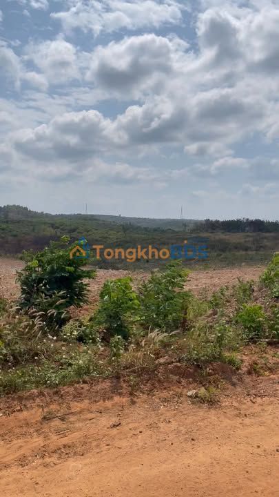 Đất nền Ea Tul Cư M'gar 1000m² 169 triệu - Đường to ô tô