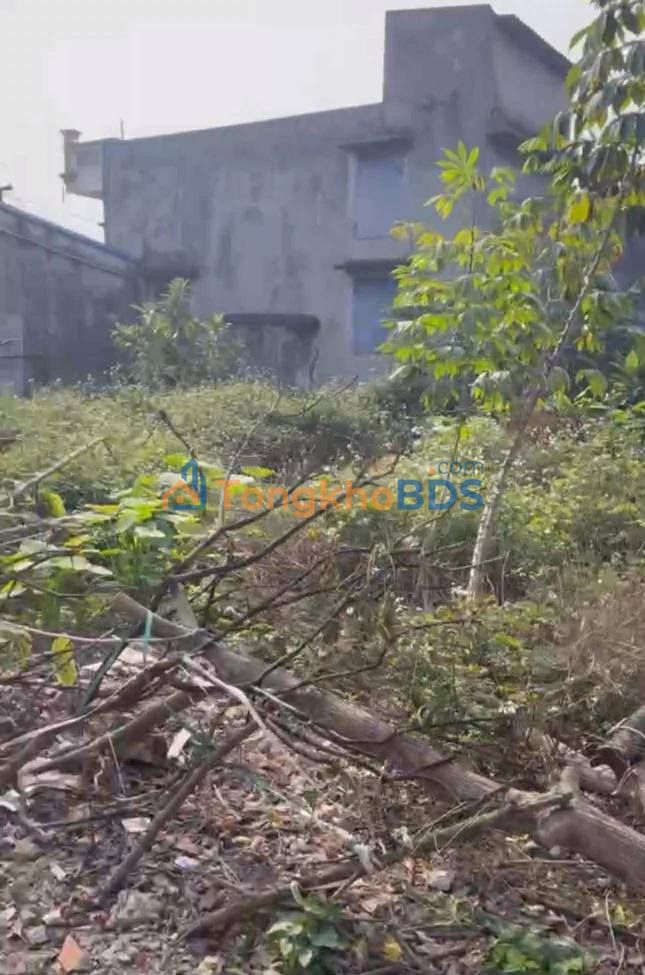 Đất nền Ngõ 806 Vũ Hữu Lợi 65m² 1.2 tỷ - Đường to ô tô