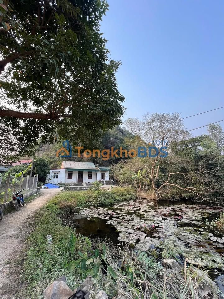 Đất nền Ninh Giang 2500m² giá 1x tỷ - Sổ đỏ chính chủ