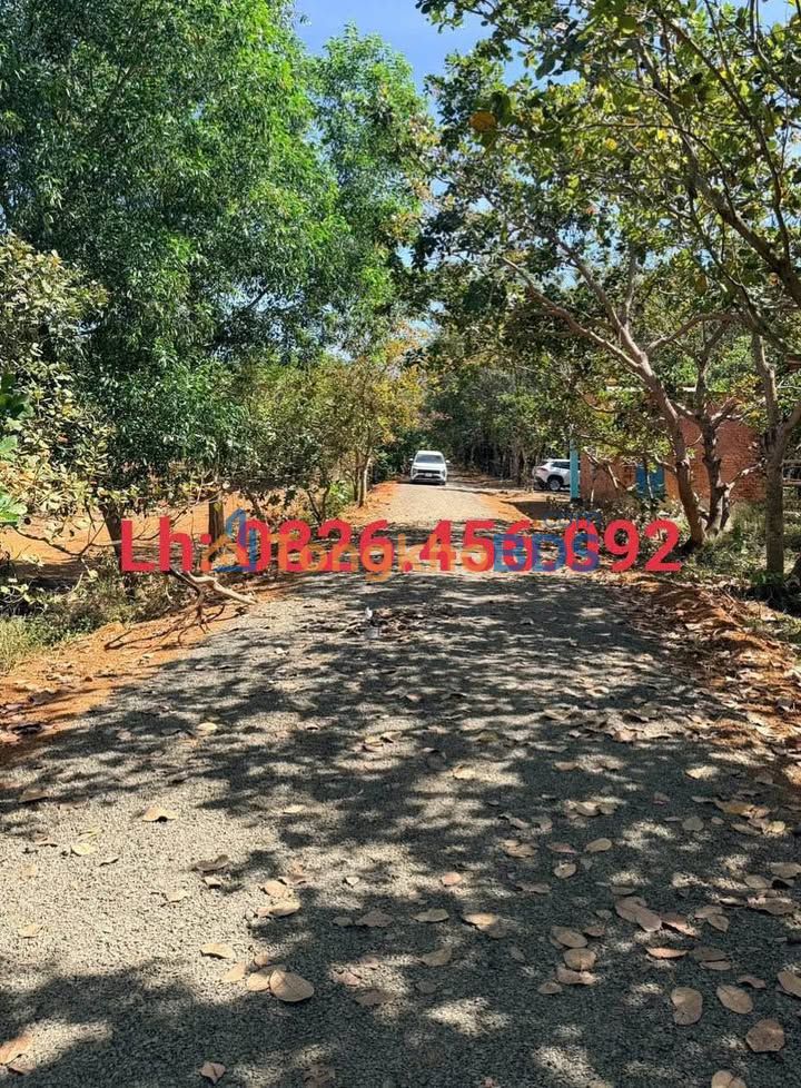 Đất Ấp Pa Pếch Tân Lợi 360m² giá 1xx - Tiềm năng tăng giá