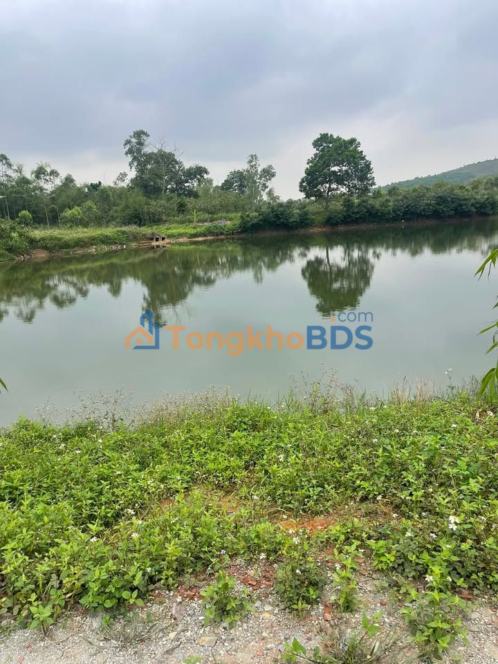 Đất vườn Hoàng Tân, Chí Linh 1.4ha - Sinh thái xanh