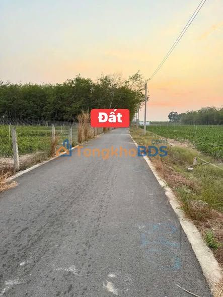 Đất nền Dầu Tiếng 400m² - Sổ riêng, giá đầu tư chỉ 400 triệu