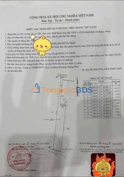 Đất nền Long Hòa Cần Giờ 2.600m² 1.2 tỷ - Sổ đỏ chính chủ