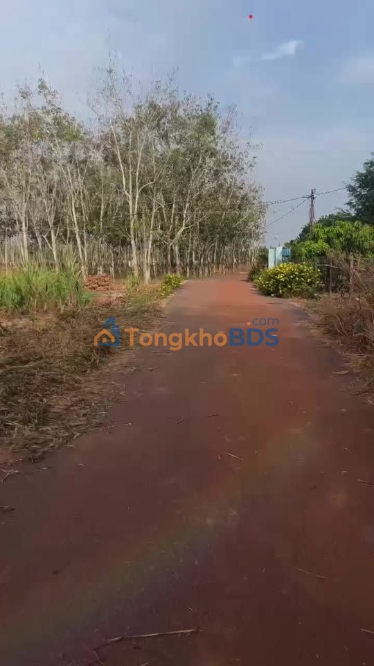 Đất nền Định An 50 Thuận An 100m² 500-599 triệu - Sổ đỏ chính chủ