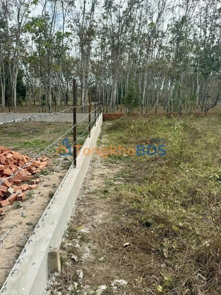 Đất nền Dầu Tiếng 420m² 600-699 triệu - Đất thổ cư 100%