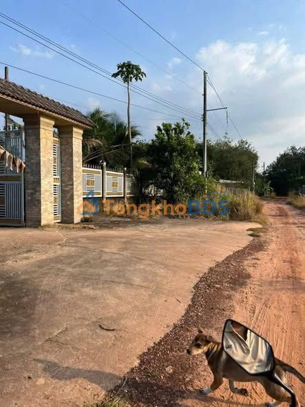 Đất Long Hòa Dầu Tiếng 290m² 300 triệu - Sổ đỏ