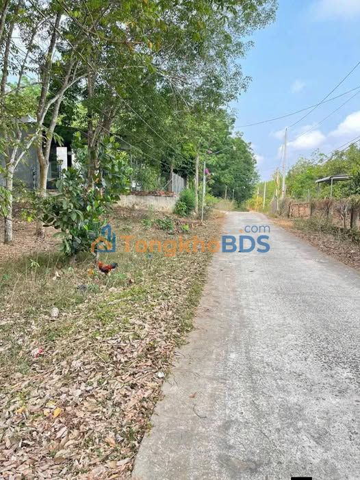 Đất nền Xã Minh Tân 3.300m² giá 500tr - Đầu tư dài hạn