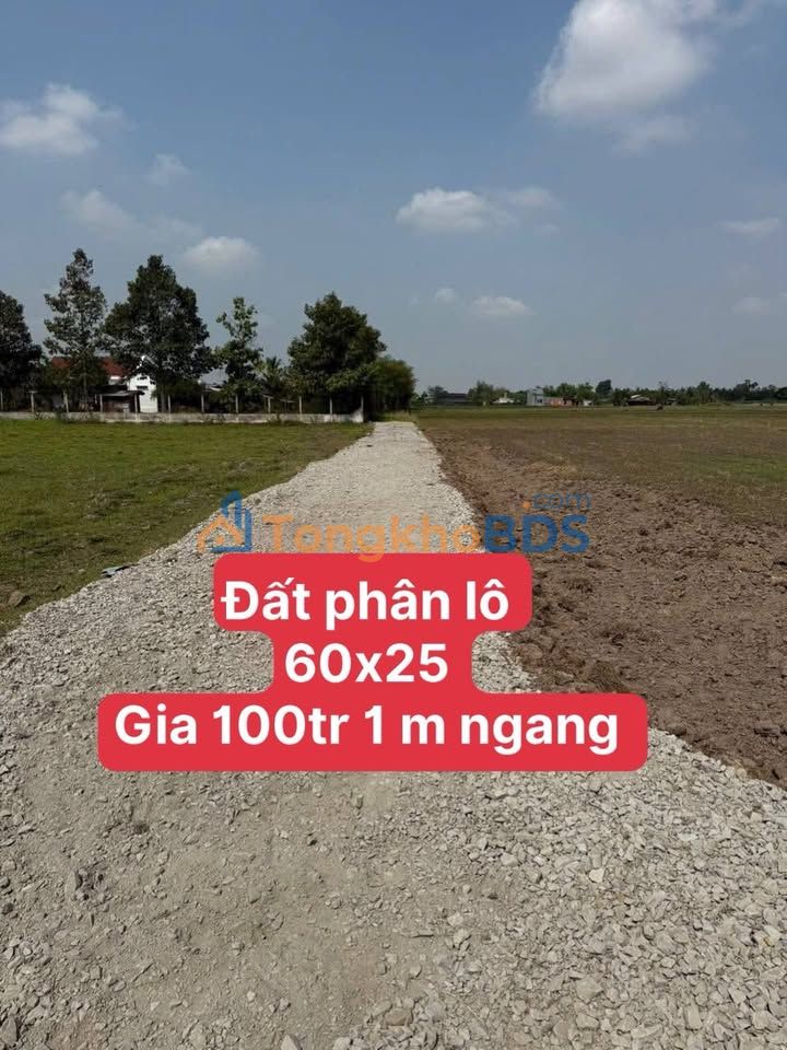 Đất nền Đức Lập Thượng Long An 1.500m² 100 triệu - Sổ đỏ chính chủ