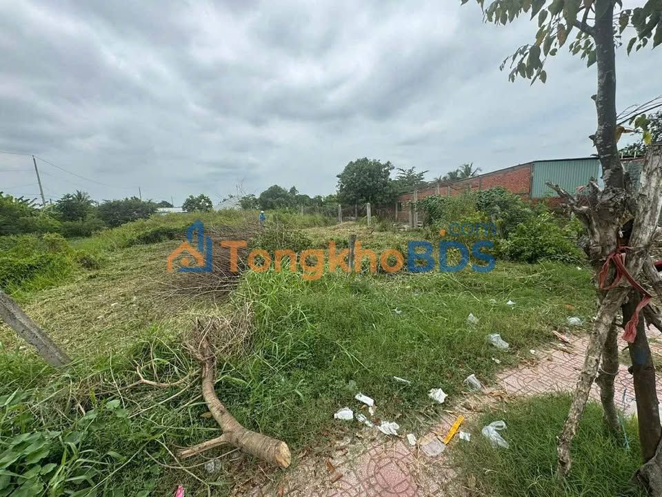 Đất nền Tân An Châu Thị Kim 848m² 12.5 tỷ - Sổ đỏ chính chủ