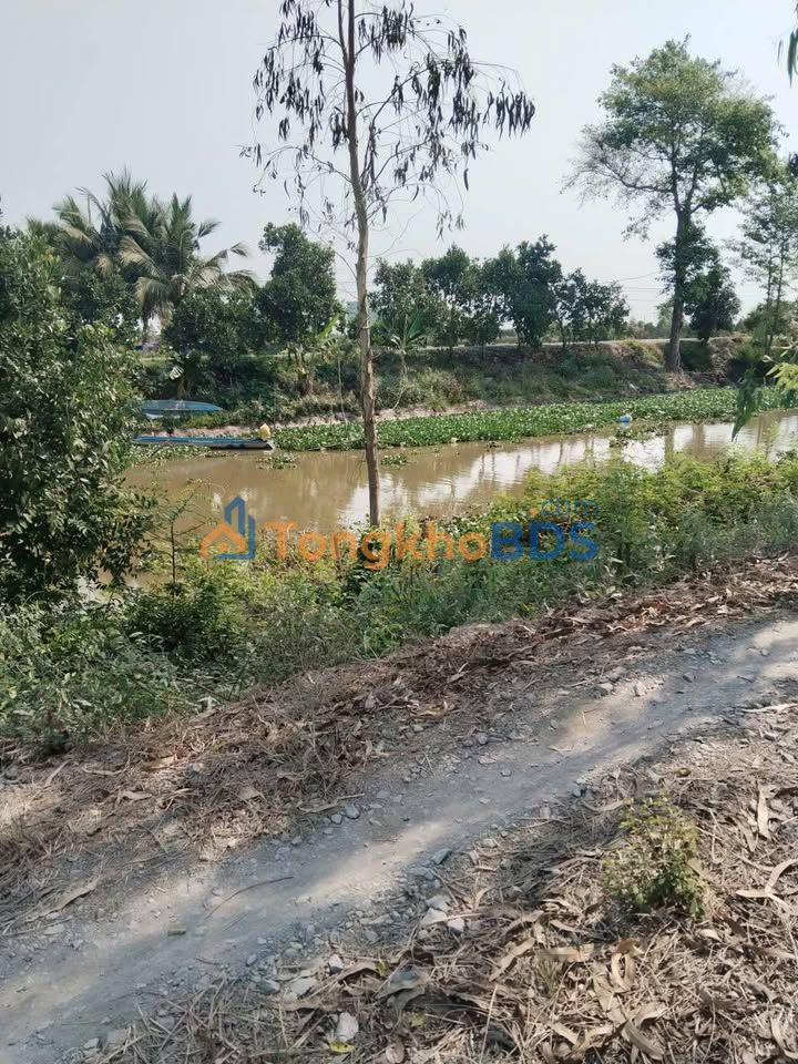 Đất vườn Tân Kiều Đồng Tháp 16.000m² 3.36 tỷ - Đầu tư dài hạn