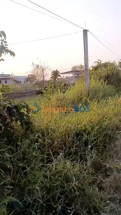 Đất vườn Phước Đông Long An 1132m² - Sổ đỏ chính chủ