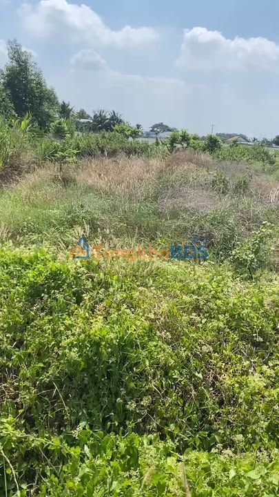 Đất nền Đức Hòa 564m² thổ vườn đường to ô tô